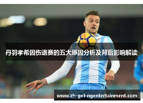 丹羽孝希因伤退赛的五大原因分析及背后影响解读