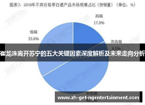 崔龙洙离开苏宁的五大关键因素深度解析及未来走向分析