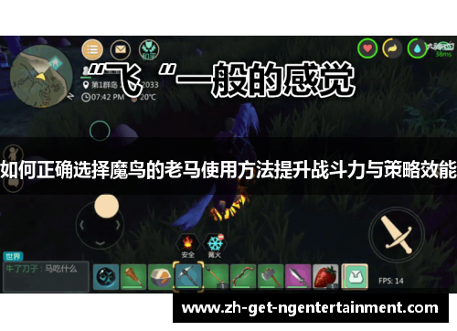 如何正确选择魔鸟的老马使用方法提升战斗力与策略效能