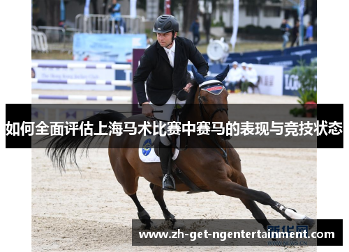 如何全面评估上海马术比赛中赛马的表现与竞技状态