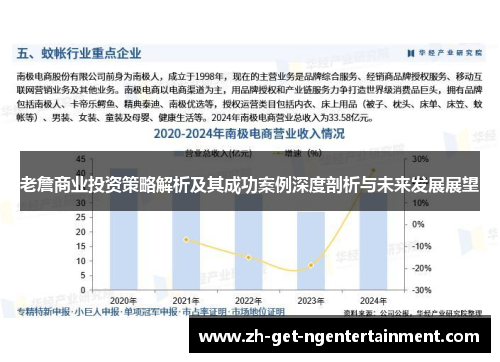 老詹商业投资策略解析及其成功案例深度剖析与未来发展展望